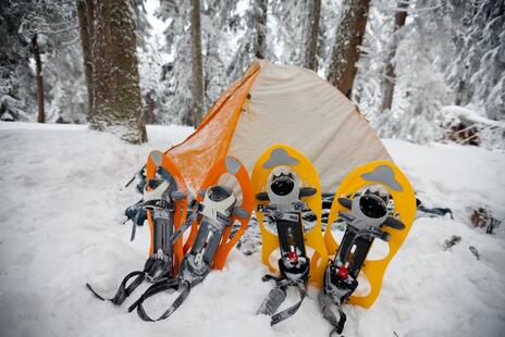 Read Article on Know How To Go Snow Shoeing 