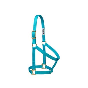 Thumbnail of the Weaver Leather Non-Adjustable Nylon Halter, Large, Turquoise