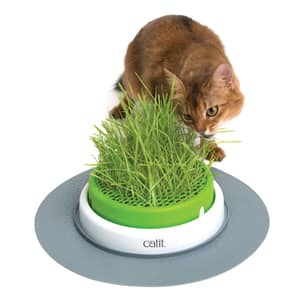 Thumbnail of the Catit Senses 2.0 Grass Planter