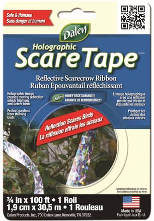 Thumbnail of the Holographic Scare Tape