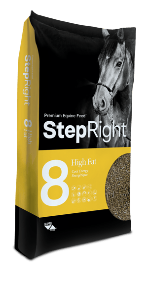 Thumbnail of the Step Right® Step 8 Cool Energy 15kg