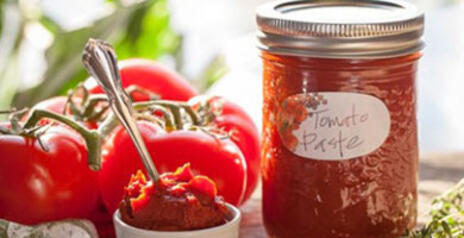 Read Article on Tomato Paste 