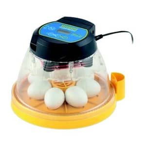 Thumbnail of the Brinsea Mini II Advance Automatic 7 Egg Incubator