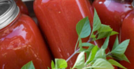 Read Article on Italian Stewed Tomatoes 