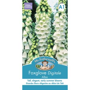 Thumbnail of the Mr. Fothergill's Foxglove Alba Seeds