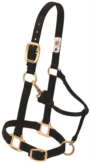 Thumbnail of the Weaver Leather 1" Small Black Snap Halter