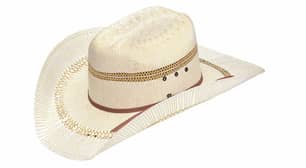 Thumbnail of the Ariat Cow Hat