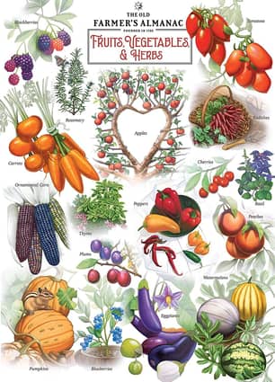 Thumbnail of the Farmer's Almanac Fruits & Vegetables 1000 Piece Puzzle