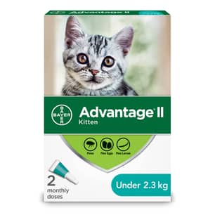 Thumbnail of the Advantage II Flea Treatment for Kittens - 2 dose