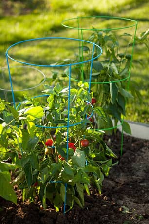 Thumbnail of the 42 inch Heavy-Duty Tomato Cage, Blue