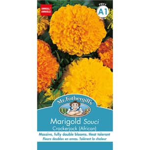 Thumbnail of the Mr. Fothergill's Marigold (African) Crackerjack Mixed Seeds