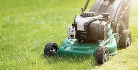 Read Article on Know How to Properly Cut Your Lawn 