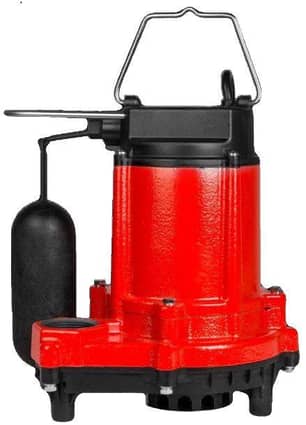 Thumbnail of the Red Lion Snap Action Sump Pump
