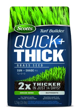 Thumbnail of the Scotts® Turf Builder Quick & Thick Grass Seed Sun-Shade Mix 12-0-0 - 1.2kg