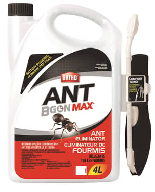 Thumbnail of the Ortho Ant B Gon Max Ant Eliminator