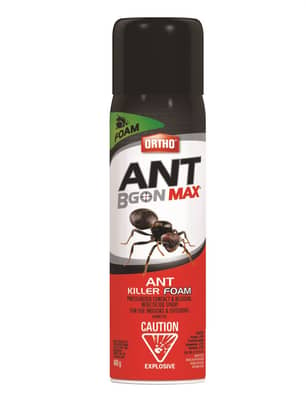 Thumbnail of the Ortho Ant B Gon Ant Hill Foam
