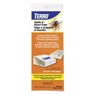 Thumbnail of the Terro Spider & Insect Traps