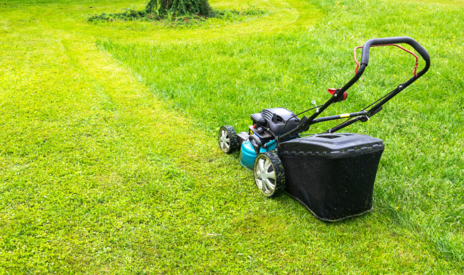 Read Article on Know How to Have a Green Lawn all Summer 