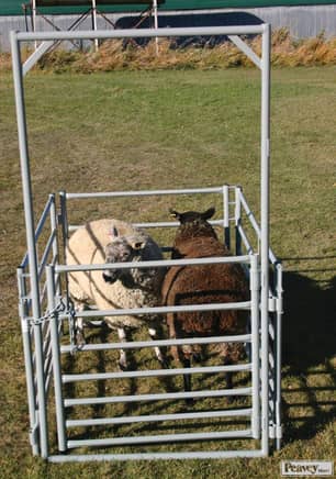 Thumbnail of the 2W Self Conecting Sheep Gate (7 Rail, 7ft frame, 1.5" 14 Gauge Uprights, 40" High Gate) - 6ft.