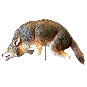 Thumbnail of the 3D COYOTE DECOY