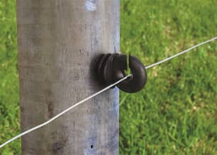 Thumbnail of the Patriot® 25 Pk Ring Insulator - Wood Post