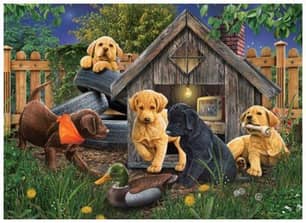Thumbnail of the PUZZLE IN THE DOGHOUSE