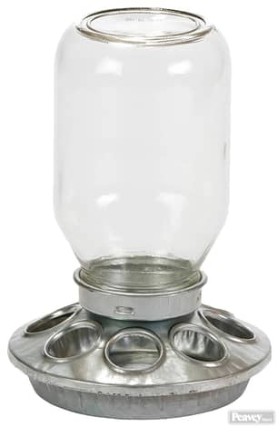 Thumbnail of the Little Giant Glass Mason Jar Chick Feeder 1 Quart