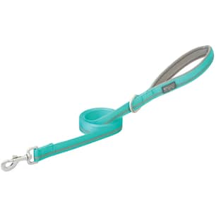 Thumbnail of the Reflective Neoprene Lined Dog Leash Mint 1"X4'