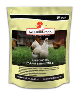 Thumbnail of the ChickenMax Layer Chicken Forage Seed Mixture