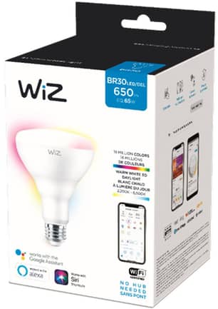 Thumbnail of the WIZ 65W BR30 WIFI FULL COLOR & TUNABLE WHITE