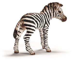 Thumbnail of the Schleich® Zebra Foal