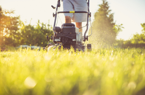 Read Article on Know How to Care for Your Lawn 