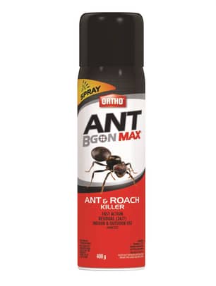 Thumbnail of the Ortho Ant B Gon Max Ant & Roach Killer Spray