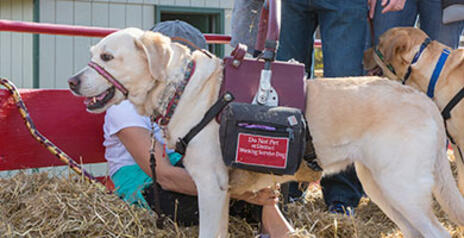 Read Article on Know how service dogs are a lifeline 