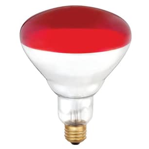 Thumbnail of the Electryx Red Heat Lamp Bulb 250W