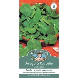 Thumbnail of the ARUGULA 'CULTIVATED'