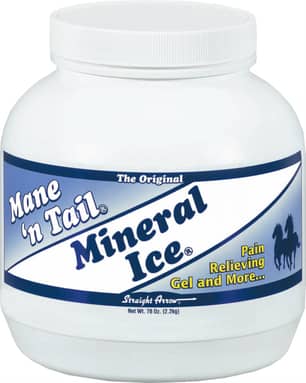 Thumbnail of the Straight Arrow Mane 'N Tail Mineral Ice 454gm