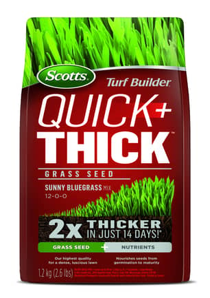 Thumbnail of the Scotts® Turf Builder Quick & Thick Grass Seed Sunny Bluegrass Mix 12-0-0-0 - 1.2kg