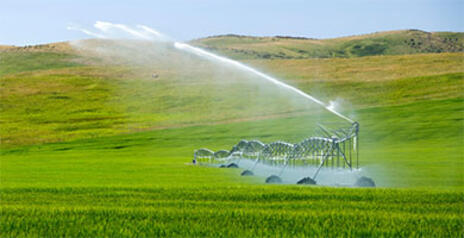 Read Article on How does the process of irrigation work? 