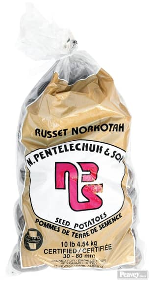 Thumbnail of the White Russet Norkotah Seed Potatoes