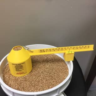 Thumbnail of the Grain Density Scale, Yellow