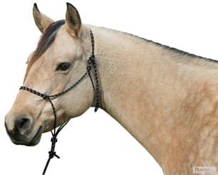 Thumbnail of the Silvertip No.95 Halter w/10ft Lead