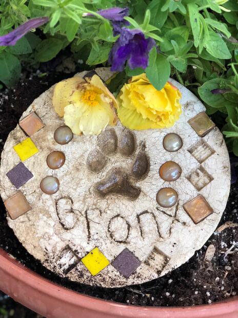 Read Article on Know How to Create Garden Stepping Stones 