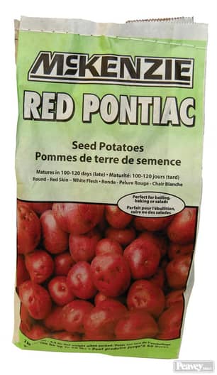 Thumbnail of the Red Pontiac Seed Potatoes