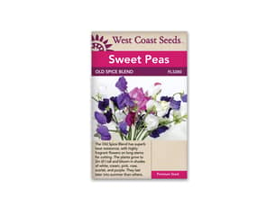 Thumbnail of the OLD SPICE BLEND SWEET PEAS