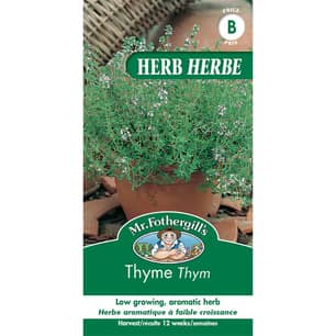 Thumbnail of the THYME