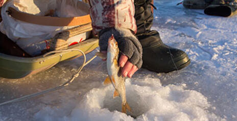 Read Article on How to Prepare for Ice Fishing 