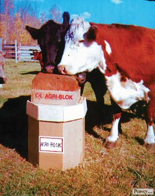 Thumbnail of the Agri-Blok 25kg