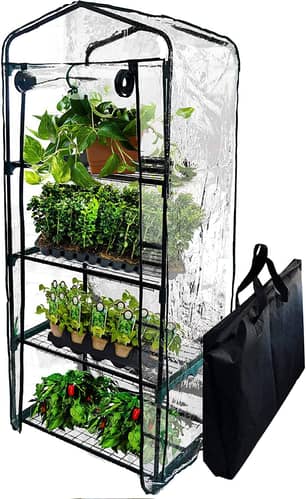 Thumbnail of the Backyard Expressions® Portable Mini Greenhouse