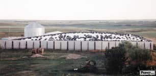 Thumbnail of the Amity -  Silage Bunker Cover 40x100 white/black